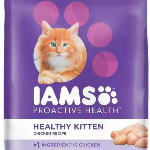 Healthy Kitten Dry Cat Food