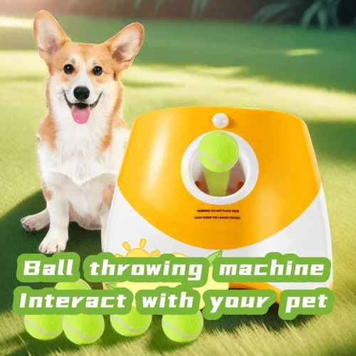 Automatic Ball Launcher for Dogs