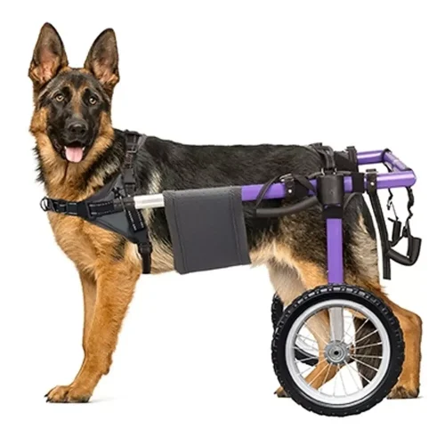 Dog Wheelchair for Back Legs
