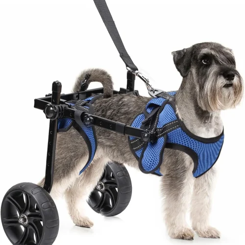 Dog Wheelchair for Back Legs