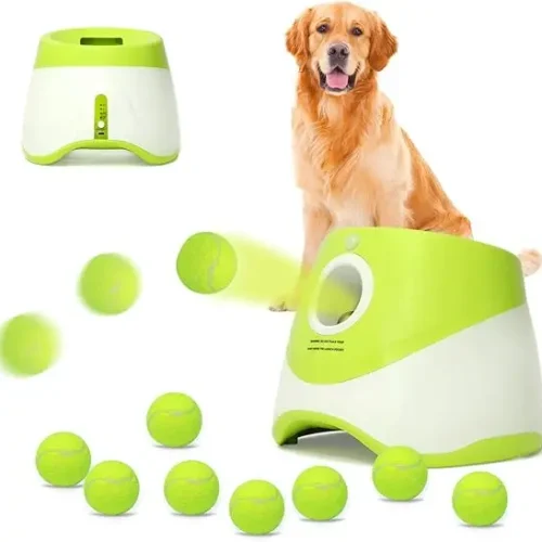 Automatic Ball Launcher for S M & L Dogs